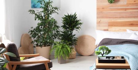 Un intérieur suivant les règles du feng shui