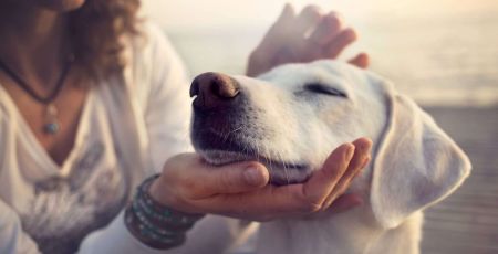 AdobeStock_111135014.jpeg
