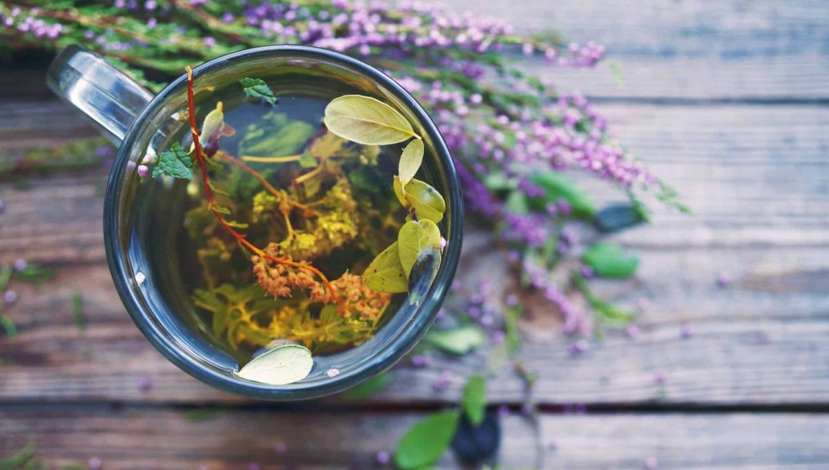 tisane bruyère