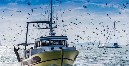 Retour de pêche d'un chalutier.