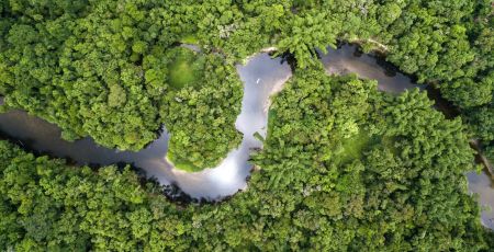 cartographie biodiversité végétale monde