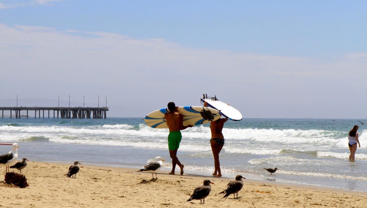 surf Los Angeles