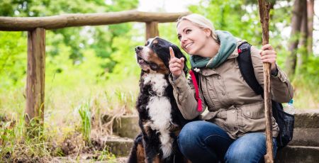« Vacances Vacances entre amis, pour préparer ses vacances Vacances entre amis, pour préparer ses vacances avec son animalson animalamis » pour préparer ses vacances avec son animal