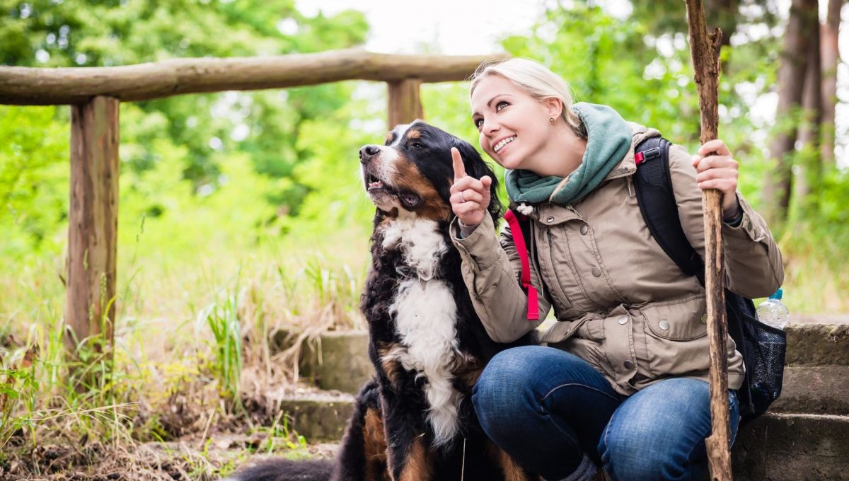 « Vacances Vacances entre amis, pour préparer ses vacances Vacances entre amis, pour préparer ses vacances avec son animalson animalamis » pour préparer ses vacances avec son animal