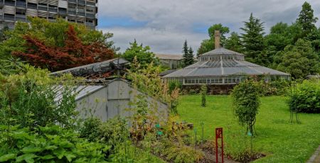 Strasbourg : une balade à la découverte du jardin botanique