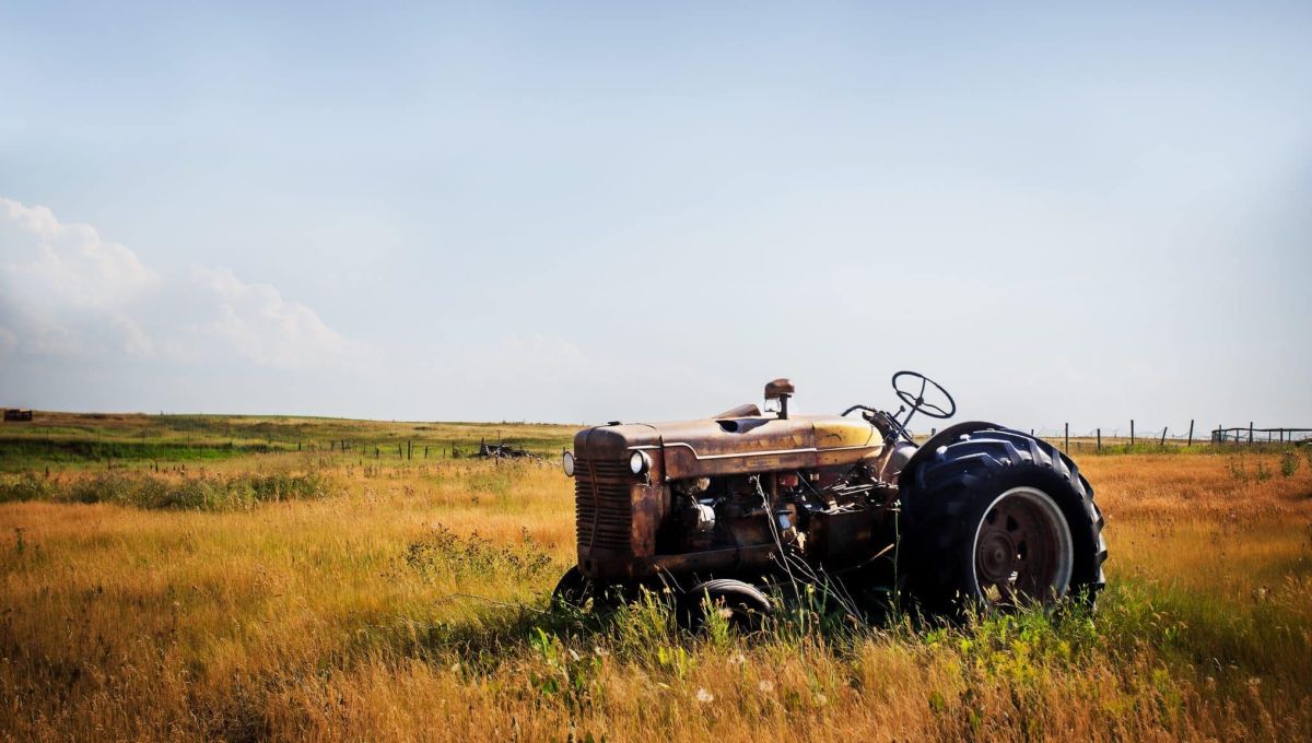 Un vieu tracteur rouillé est posé au milieu d'une prairie aux herbes hautes et jaunies