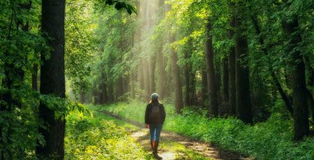 foret rencontre