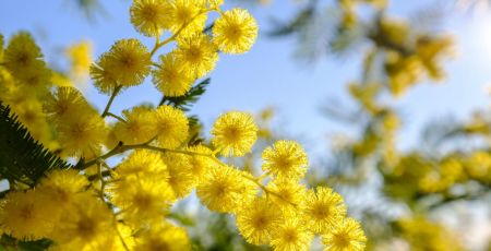 AdobeStock_192852117.jpeg