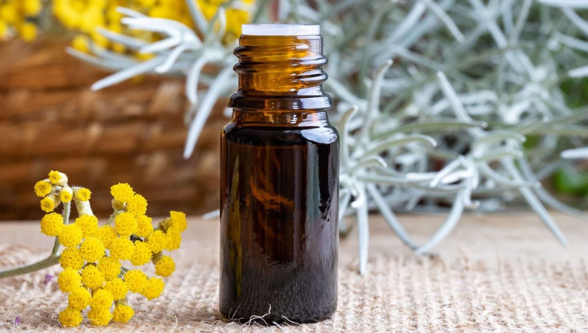 Huiles essentielles : l'hélichryse italienne, pour une jeunesse éternelle