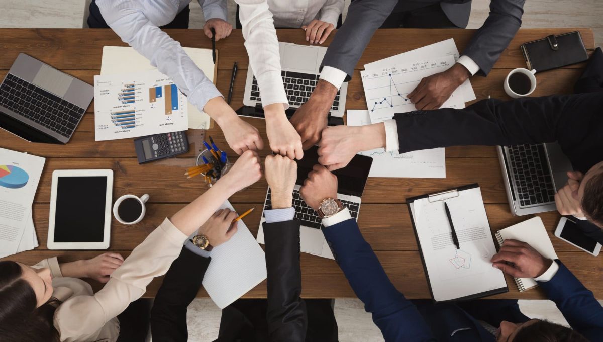expérience collaborateur