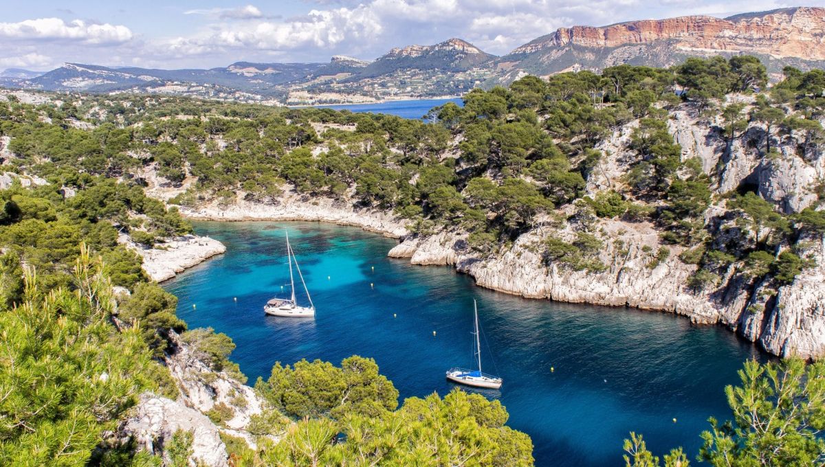 Marseille : Le Hublot sensibilise à la protection du littoral méditerranéen