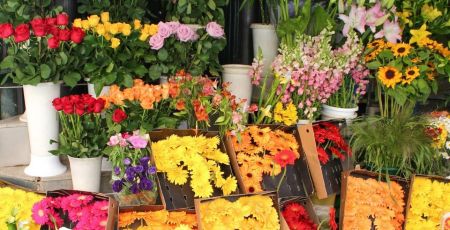 L'origine des fleurs bientôt indiquée