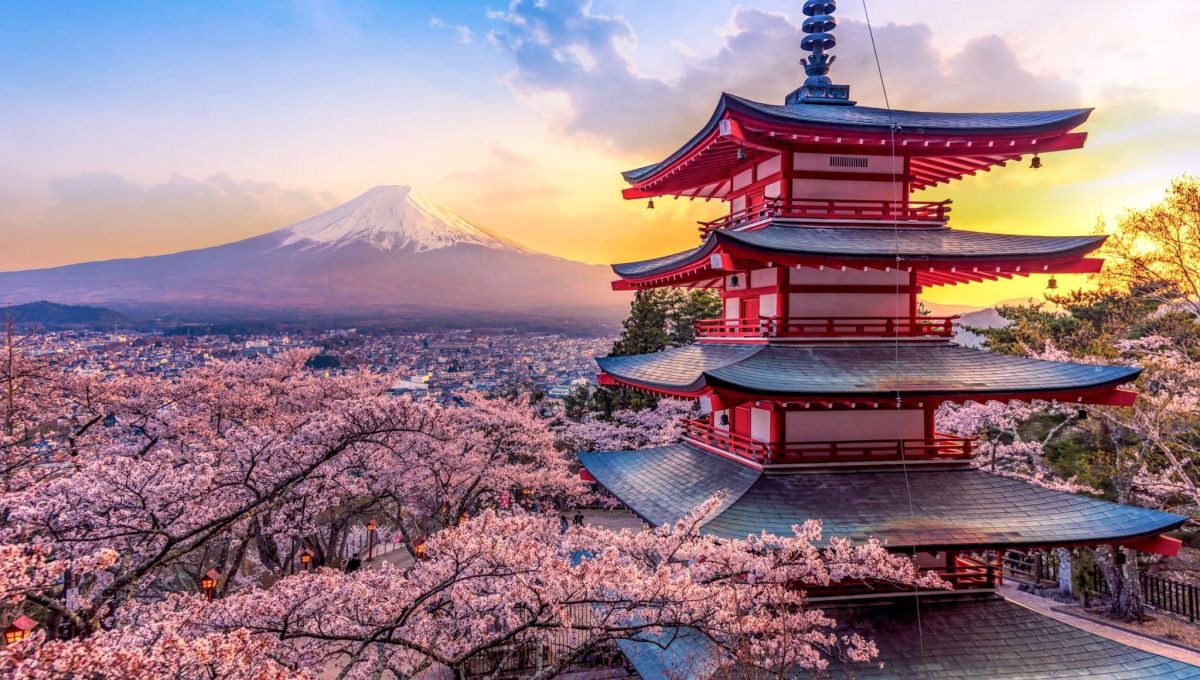 Pourquoi les français aiment-ils tant le japon ?