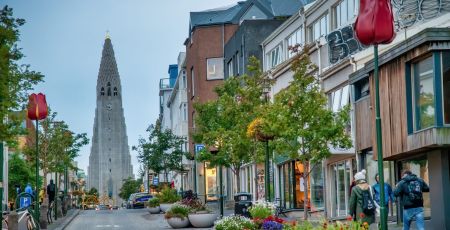 management islande