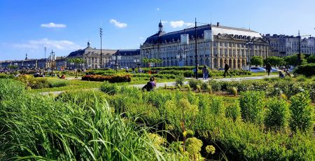 Les quais arborés de Bordeaux.