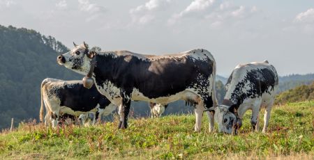 AdobeStock_287435512.jpeg