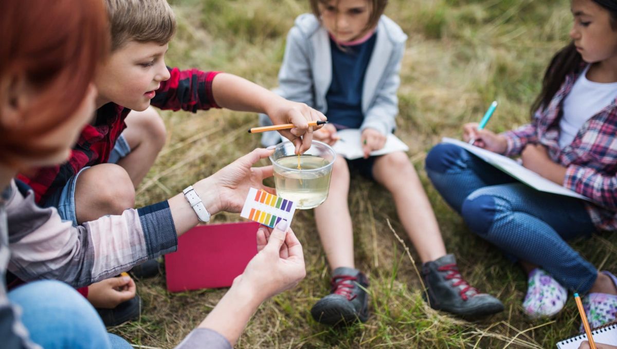 Ecologie éducation école