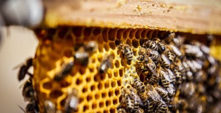 AdobeStock_290299545__1_.jpeg