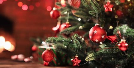 La magie de Noël pour tous en compagnie du Secours Populaire