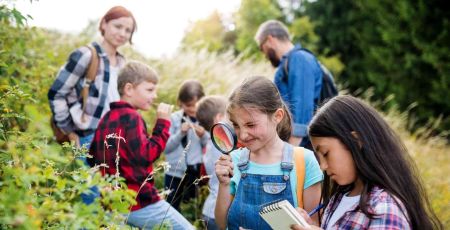 des élèves étudient la nature