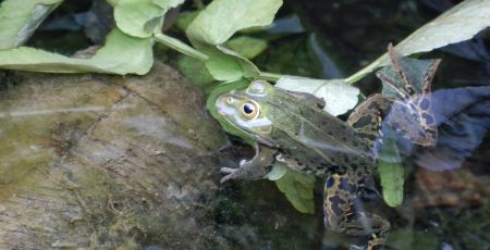 LaLunanelpozzo_69/Adobe Stock