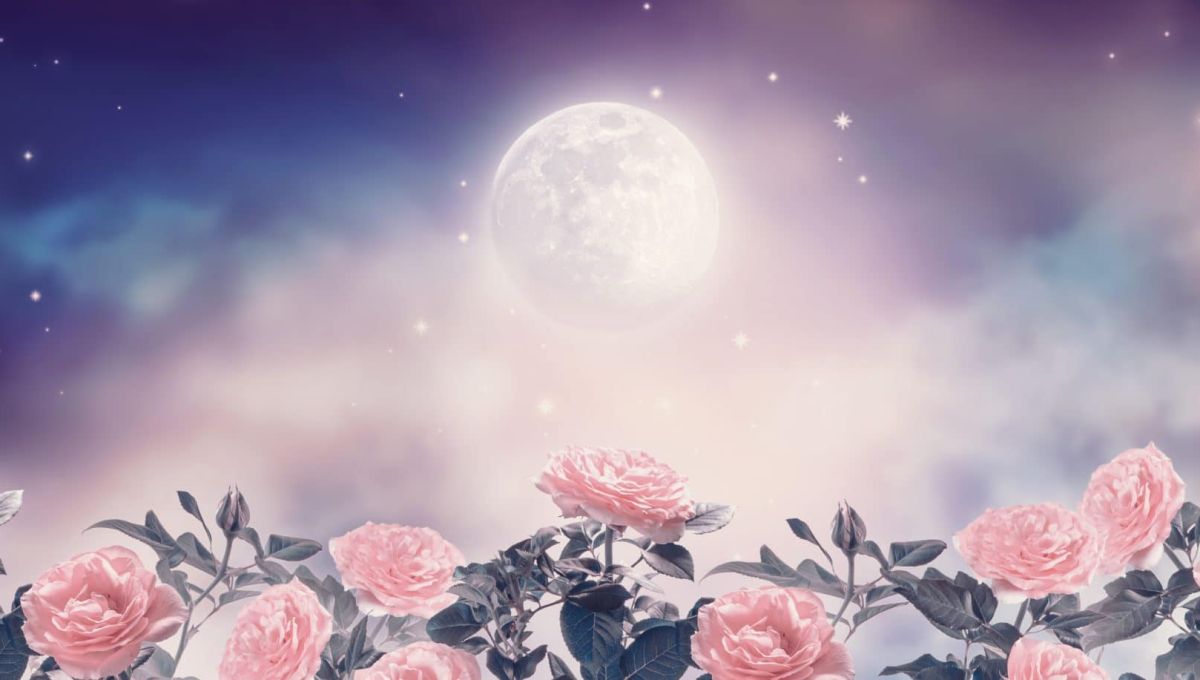 pleine lune jardin roses
