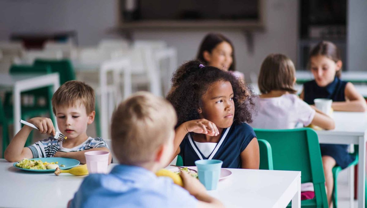 application pour connaître composition menu cantine