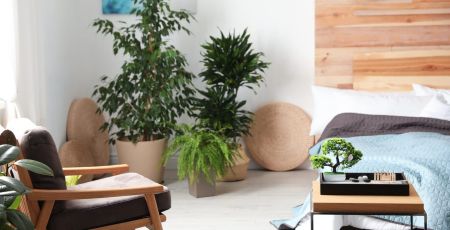 Le feng shui, ou comment optimiser l'énergie dans une pièce
