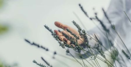 AdobeStock_309214464.jpeg