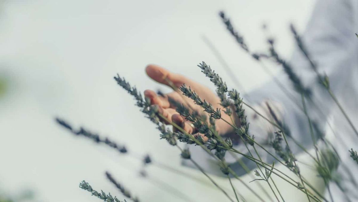 AdobeStock_309214464.jpeg