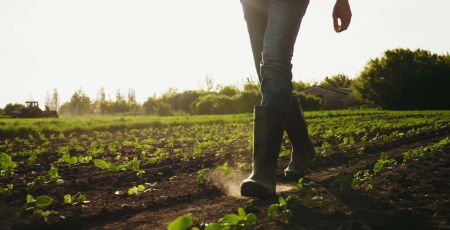 concours graines d'agriculteurs