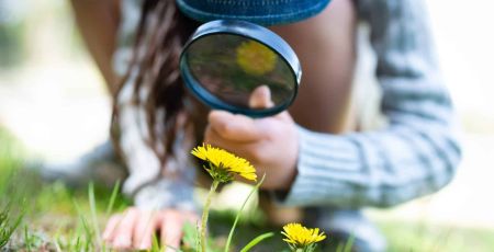 observer la nature