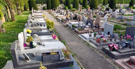 Un cimetière avec des mauvaises herbes.