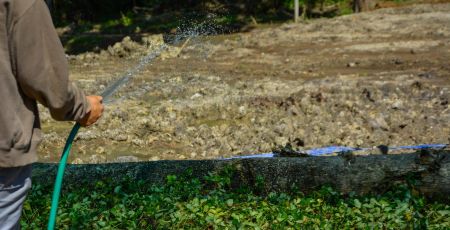 Armé d'un tuyau, le bras d'un fermier arrose ses plants