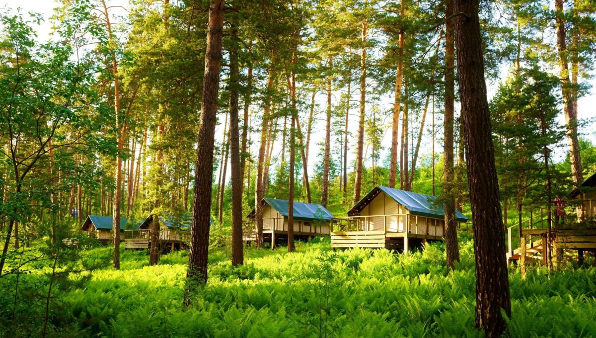 Glamping