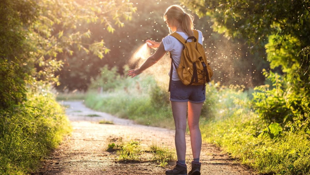 Top 5 des meilleures astuces naturelles pour éloigner les moustiques