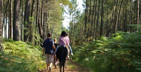 Forêt Landes