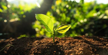 AdobeStock_410620092.jpeg