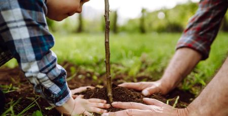 L’opération JagisJePlante pour inciter le grand public à planter