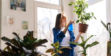 Houba, une application pour échanger ses plantes et graines