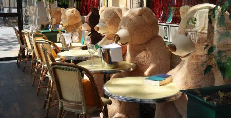 Le 9 septembre, c'est la journée mondiale de l'ours en peluche