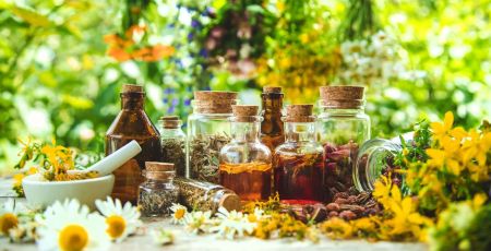 Faire ses propres tisanes et baumes à base de plantes avec Herbéo