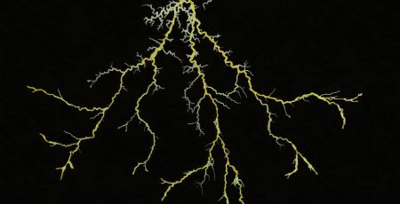 AdobeStock_444359088.jpeg
