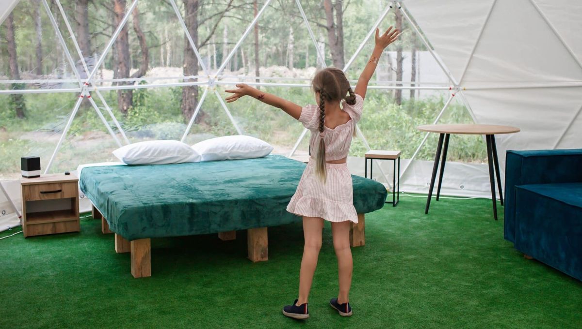 bulle foret