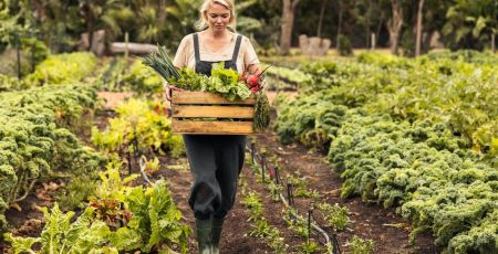 Wwoofing agriculture bio ferme