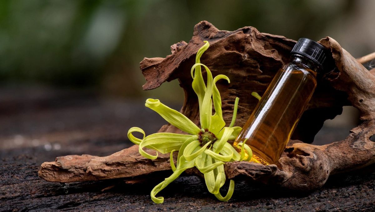 Ylang-ylang huile essentielle