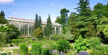 Dans les serres du jardin botanique de Strasbourg