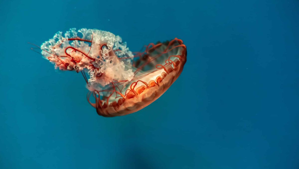 AdobeStock_481854372__1_.jpeg