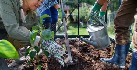 Carpentras : cultiver son petit potager en ville grâce aux jardins familiaux