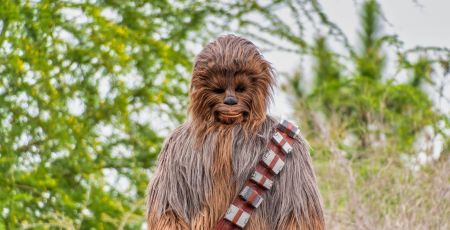 Créatures imaginaires, ici Chewbacca